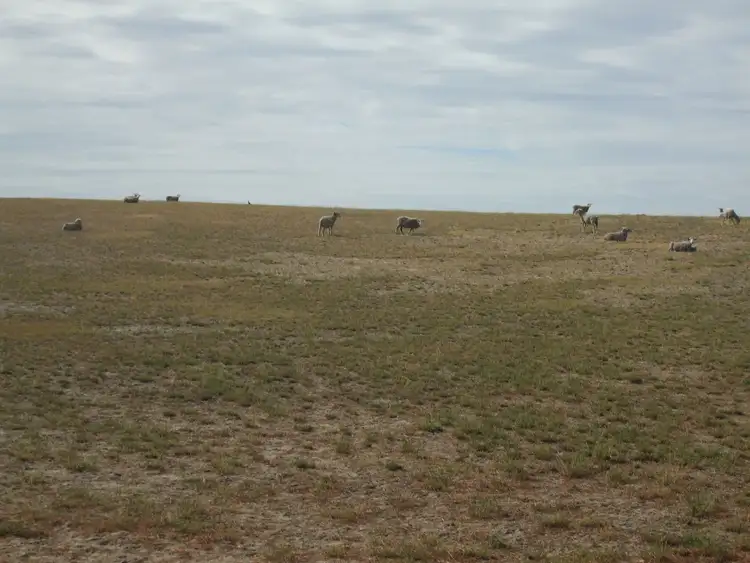 Sixth view of Homely rural property listing, 469 Cadell Road, Western Flat SA 5268