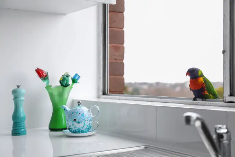 Fifth view of Homely apartment listing, 10/14 Cranbrook Avenue, Cremorne NSW 2090