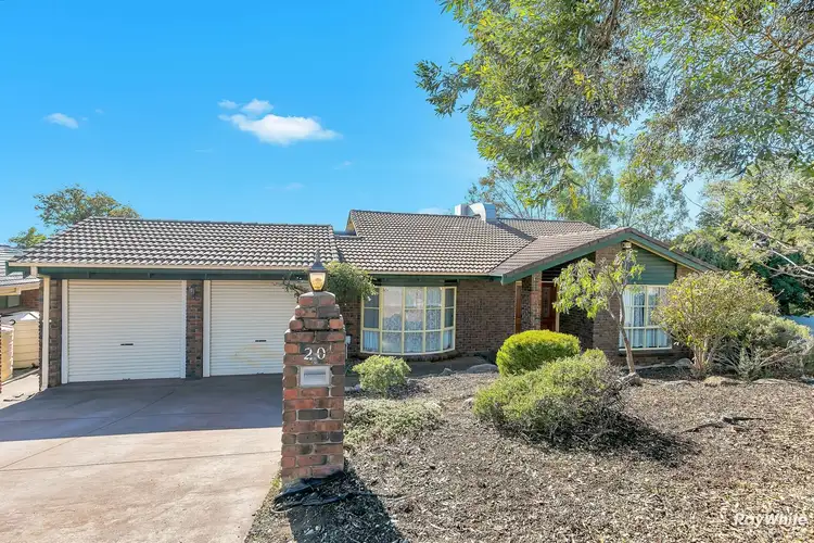 20 Ystwyth Court, Modbury Heights SA 5092