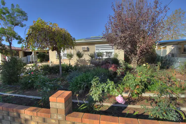 22 Gilbert Street, Berri SA 5343