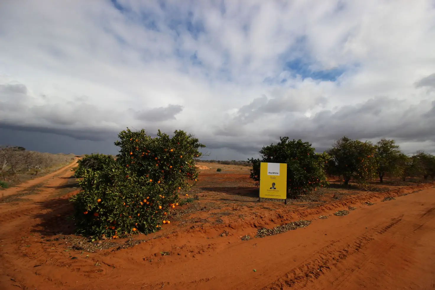 Main view of Homely rural property listing, 130 Barclay Road, Waikerie SA 5330