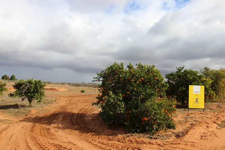 Second view of Homely rural property listing, 130 Barclay Road, Waikerie SA 5330