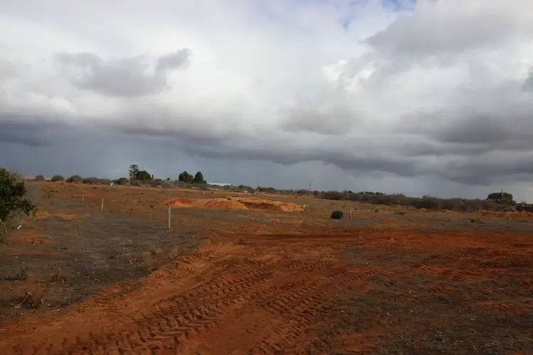 Third view of Homely rural property listing, 130 Barclay Road, Waikerie SA 5330