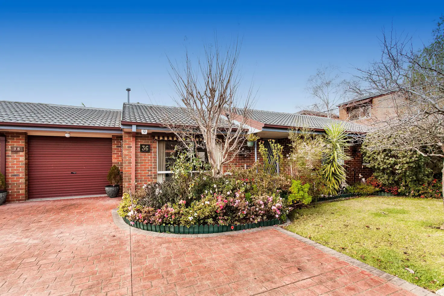 Main view of Homely house listing, 36 Sandon Circuit, Forest Hill VIC 3131