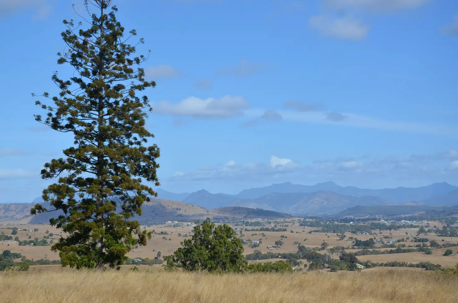 Main view of Homely rural property listing, 0 Dunn Road, Allandale QLD 4310