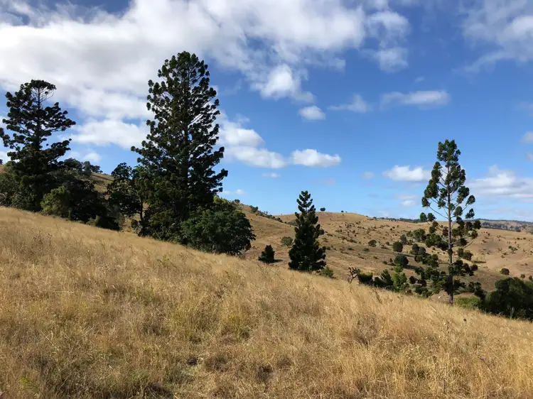 Fifth view of Homely rural property listing, 0 Dunn Road, Allandale QLD 4310