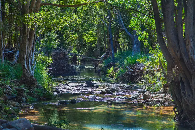 Fifth view of Homely rural property listing, 84 Birds Road, Guanaba QLD 4210