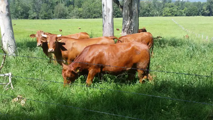 Sixth view of Homely land listing, Address available on request