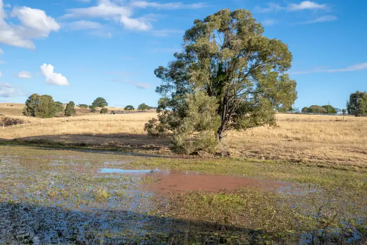 Third view of Homely rural property listing, 59 Linnings Road, Haigslea QLD 4306