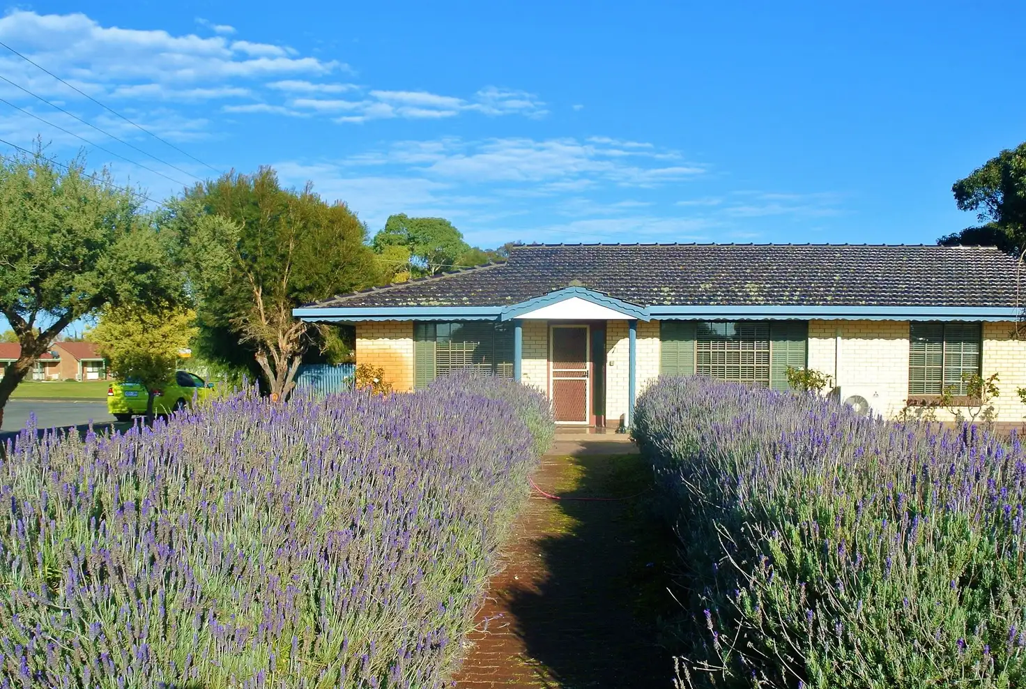 Main view of Homely house listing, 7 Acraman Street, Kingston Se SA 5275