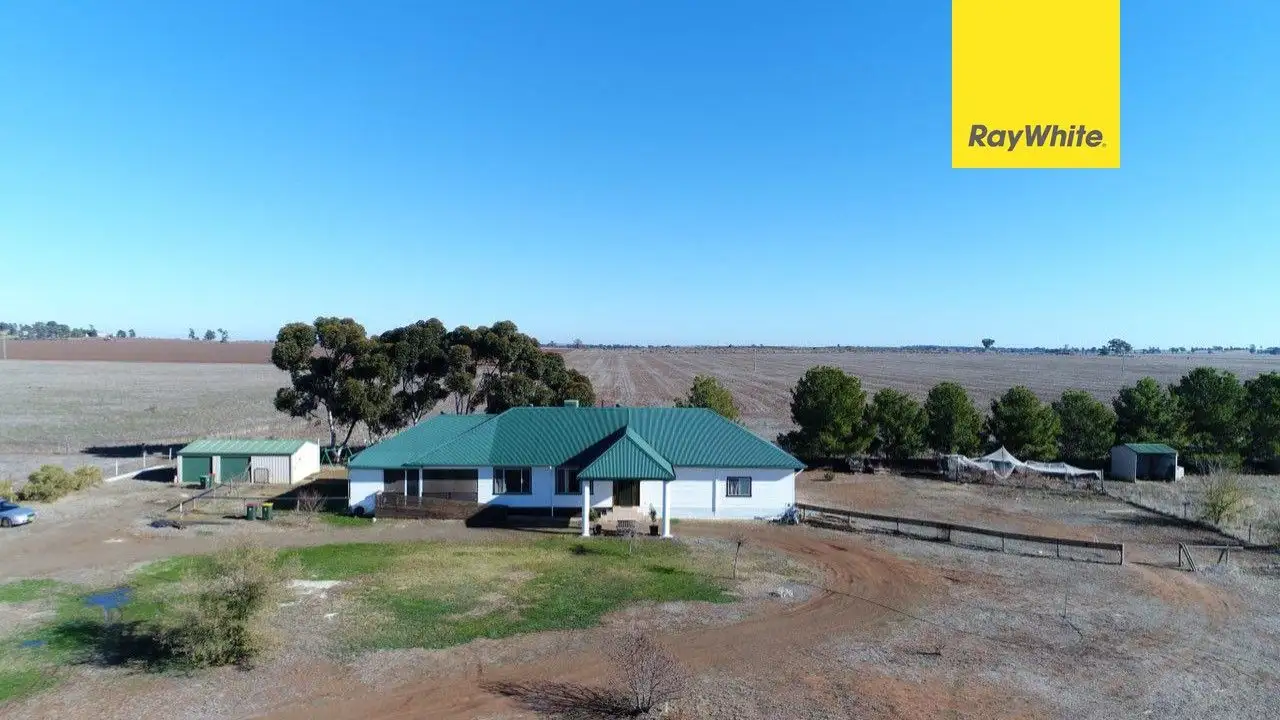 Main view of Homely house listing, 331 Calarie Road, Forbes NSW 2871