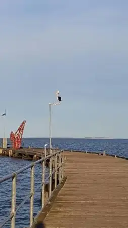 Seventh view of Homely land listing, 25 Marion Street, Milang SA 5256