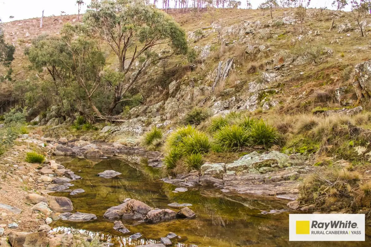 Main view of Homely rural property listing, Address available on request