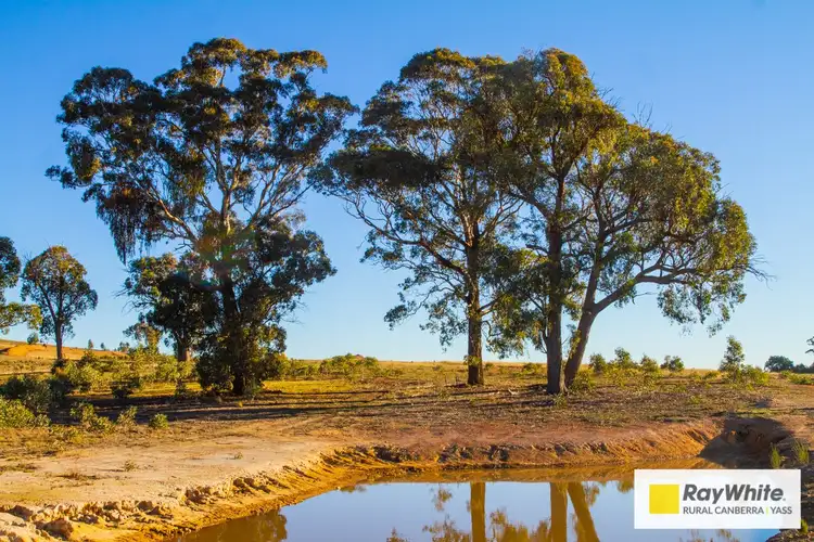 Fourth view of Homely rural property listing, Address available on request