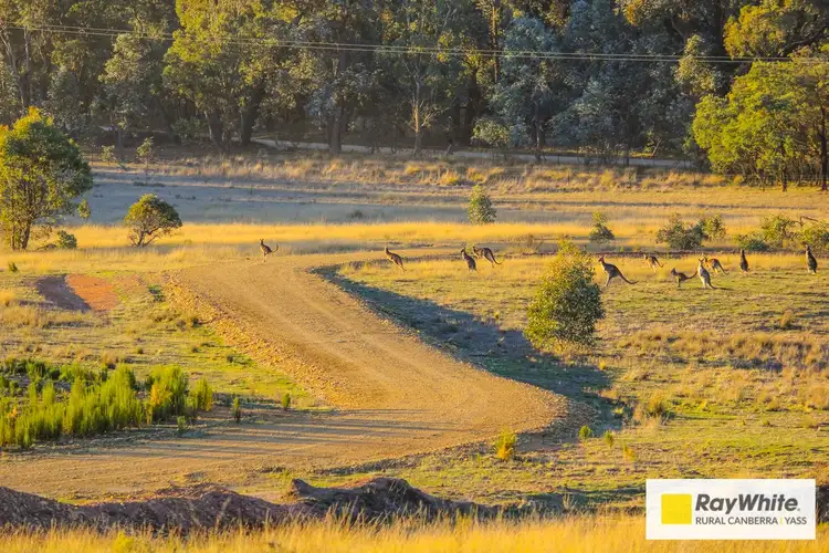 Fifth view of Homely rural property listing, Address available on request