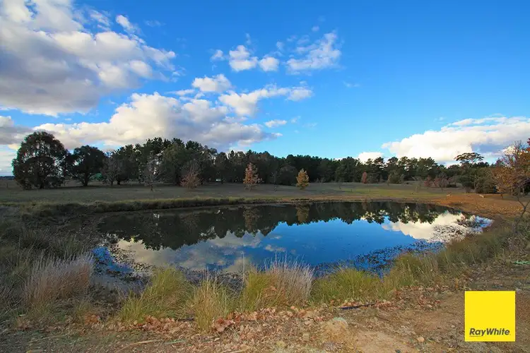 Third view of Homely house listing, 41 Merino Vale Drive, Wamboin NSW 2620