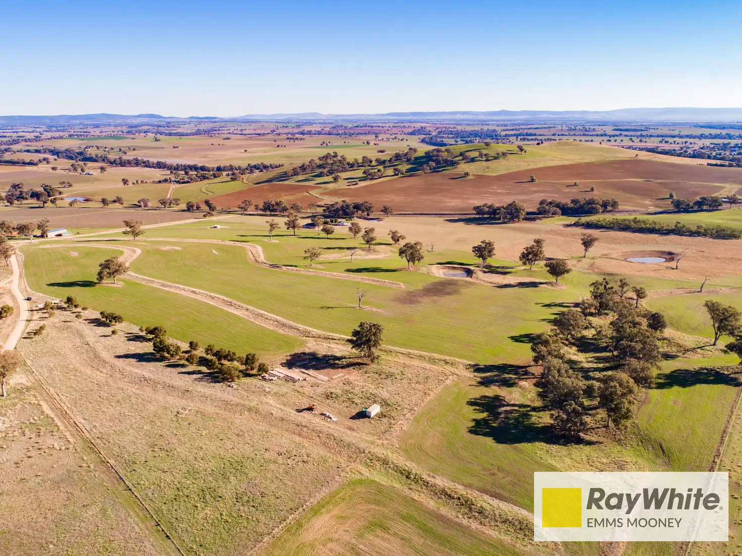 Main view of Homely rural property listing, 855B Darbys Falls Road, Cowra NSW 2794