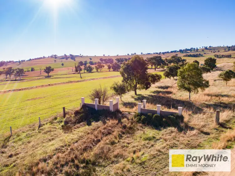 Second view of Homely rural property listing, 855B Darbys Falls Road, Cowra NSW 2794