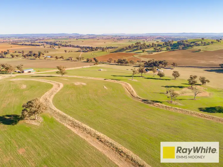 Third view of Homely rural property listing, 855B Darbys Falls Road, Cowra NSW 2794