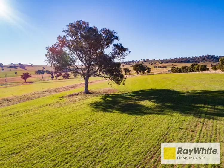 Fourth view of Homely rural property listing, 855B Darbys Falls Road, Cowra NSW 2794