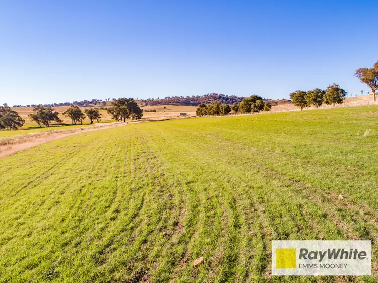 Fifth view of Homely rural property listing, 855B Darbys Falls Road, Cowra NSW 2794