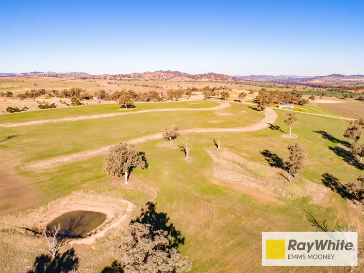 Sixth view of Homely rural property listing, 855B Darbys Falls Road, Cowra NSW 2794