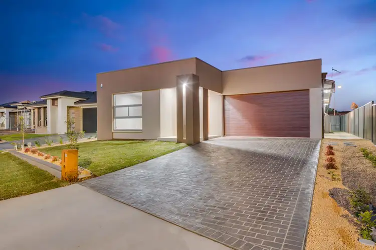 39 Fleming Street, Spring Farm NSW 2570