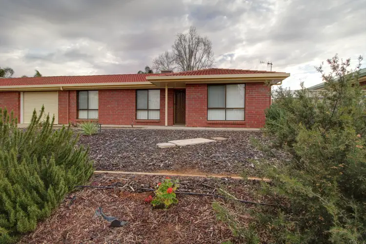 1B Magarey Street, Berri SA 5343