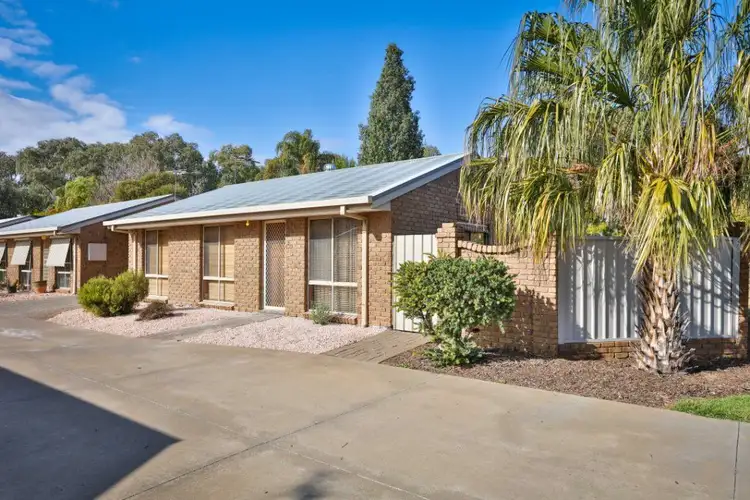 Main view of Homely unit listing, 1/221 - 223 Adams Street, Wentworth NSW 2648