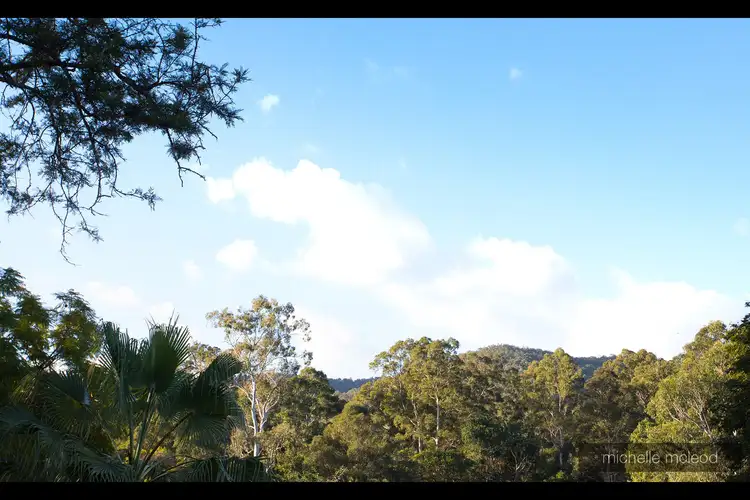Fifth view of Homely house listing, 31 Diamantina Street, Chapel Hill QLD 4069