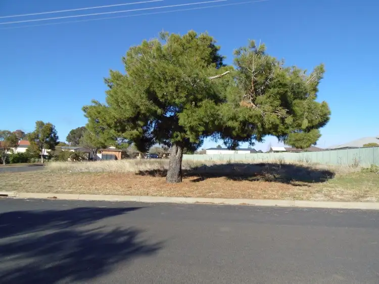 47 Medlyn Street, Parkes NSW 2870