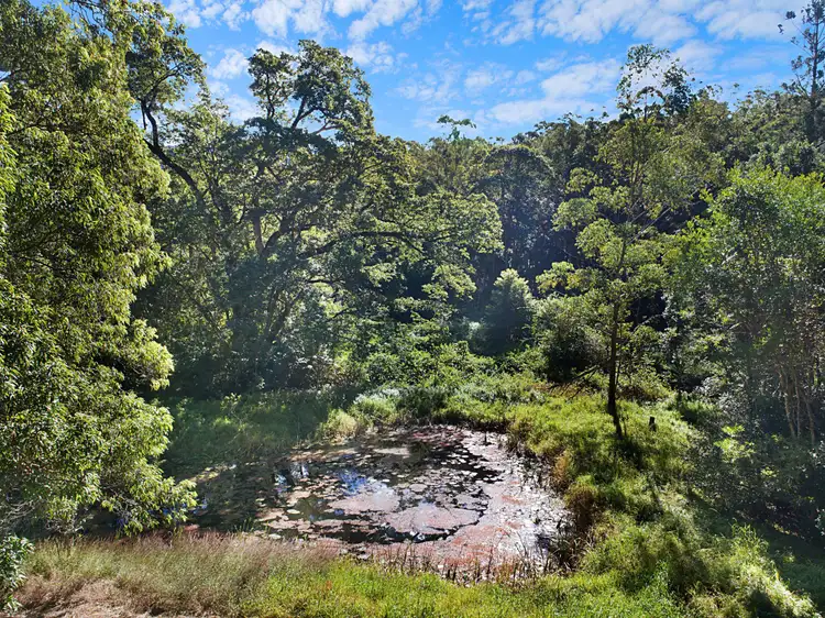 Third view of Homely rural property listing, Lot 18, 215 Everinghams Road, Pumpenbil NSW 2484