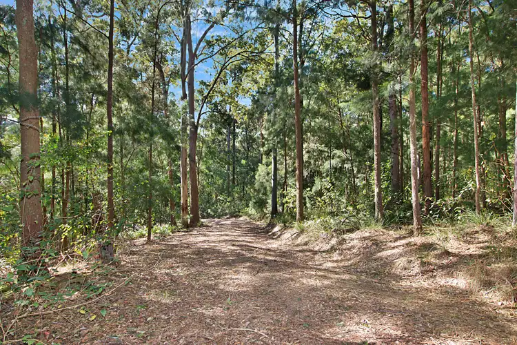 Fifth view of Homely rural property listing, Lot 18, 215 Everinghams Road, Pumpenbil NSW 2484
