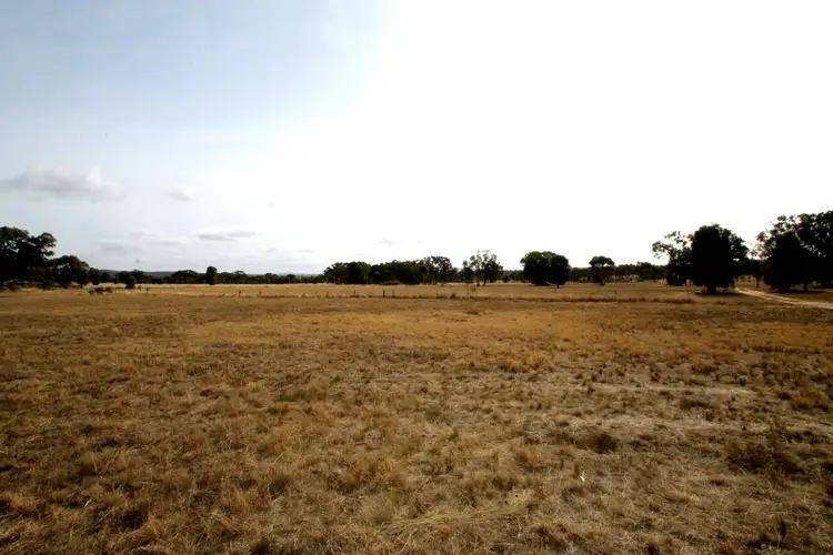 Fourth view of Homely rural property listing, 166 Werribee Road, Premer NSW 2381