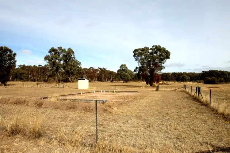 Fifth view of Homely rural property listing, 166 Werribee Road, Premer NSW 2381