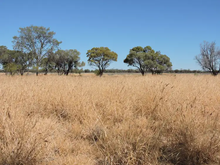 Fourth view of Homely rural property listing, 1168 Melrose Thornleigh Road, Blackall QLD 4472
