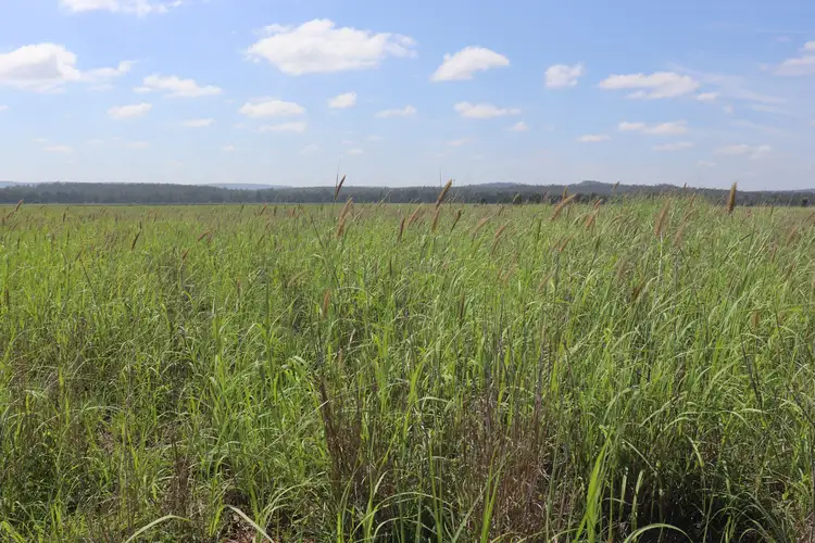 Main view of Homely rural property listing, Belmore 24962 Burnett Highway, Eidsvold QLD 4627