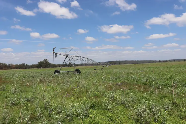 Fourth view of Homely rural property listing, Belmore 24962 Burnett Highway, Eidsvold QLD 4627