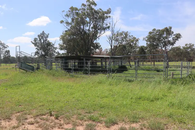 Sixth view of Homely rural property listing, Belmore 24962 Burnett Highway, Eidsvold QLD 4627