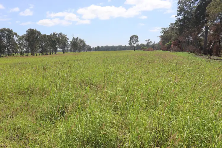 Seventh view of Homely rural property listing, Belmore 24962 Burnett Highway, Eidsvold QLD 4627