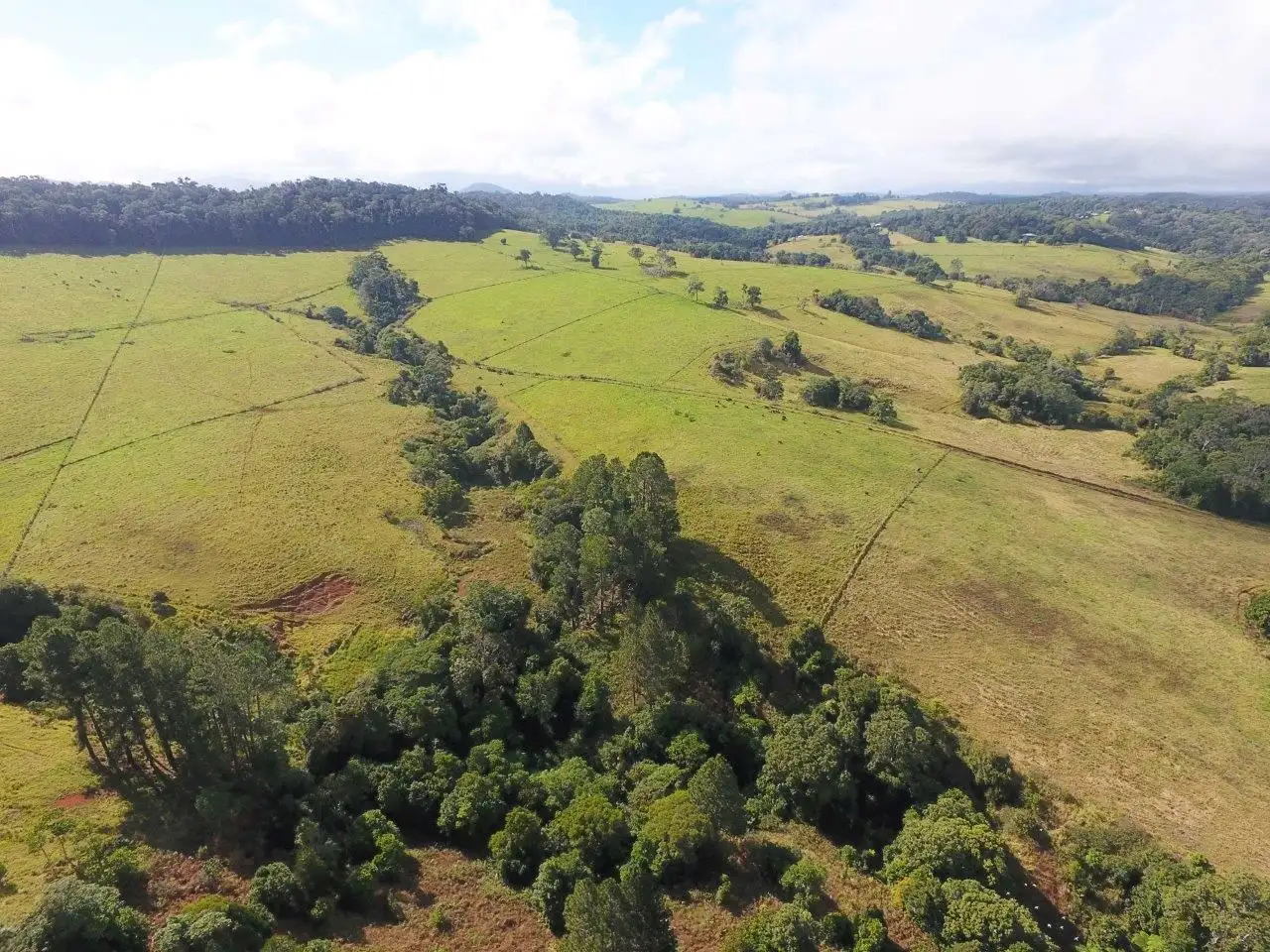 Main view of Homely rural property listing, Address available on request