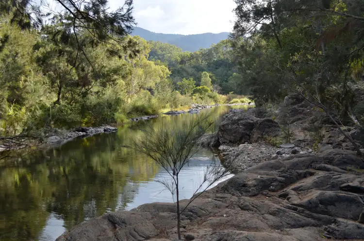 Main view of Homely rural property listing, 335 Cathu-OConnell River Road, Yalboroo QLD 4741