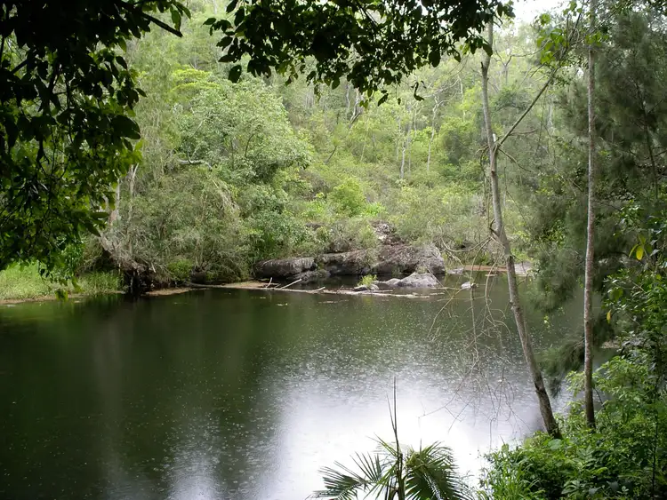 Fifth view of Homely rural property listing, 335 Cathu-OConnell River Road, Yalboroo QLD 4741