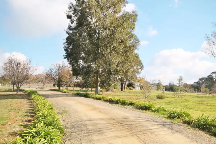 Third view of Homely house listing, 81 Tipperary Lane, Young NSW 2594