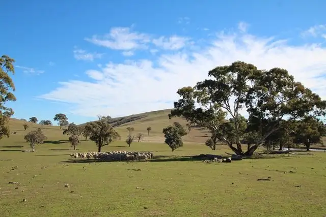Main view of Homely rural property listing, 201 Gallymont Road, Mandurama NSW 2792