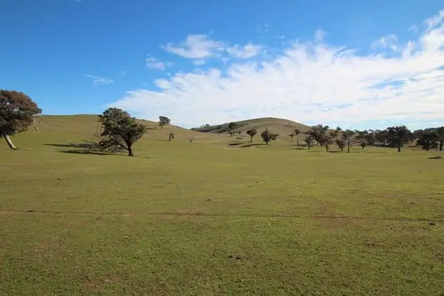 Fifth view of Homely rural property listing, 201 Gallymont Road, Mandurama NSW 2792