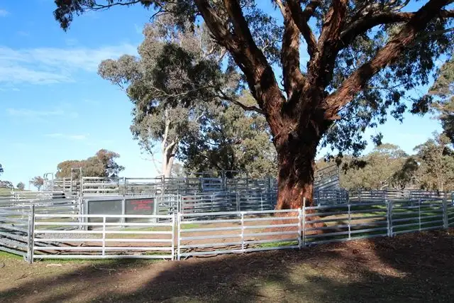 Sixth view of Homely rural property listing, 201 Gallymont Road, Mandurama NSW 2792