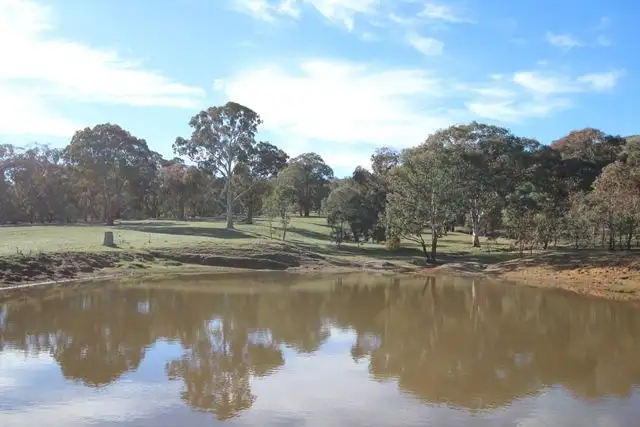 Seventh view of Homely rural property listing, 201 Gallymont Road, Mandurama NSW 2792