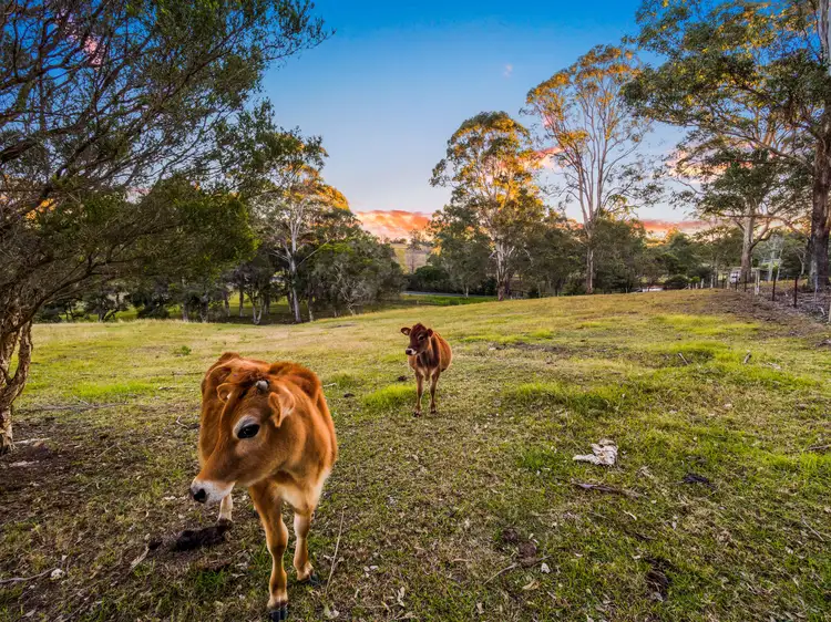 Second view of Homely house listing, 3 Bells Lane, Kurmond NSW 2757