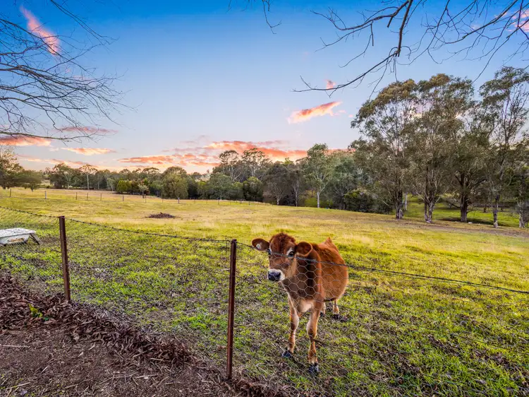 Fifth view of Homely house listing, 3 Bells Lane, Kurmond NSW 2757